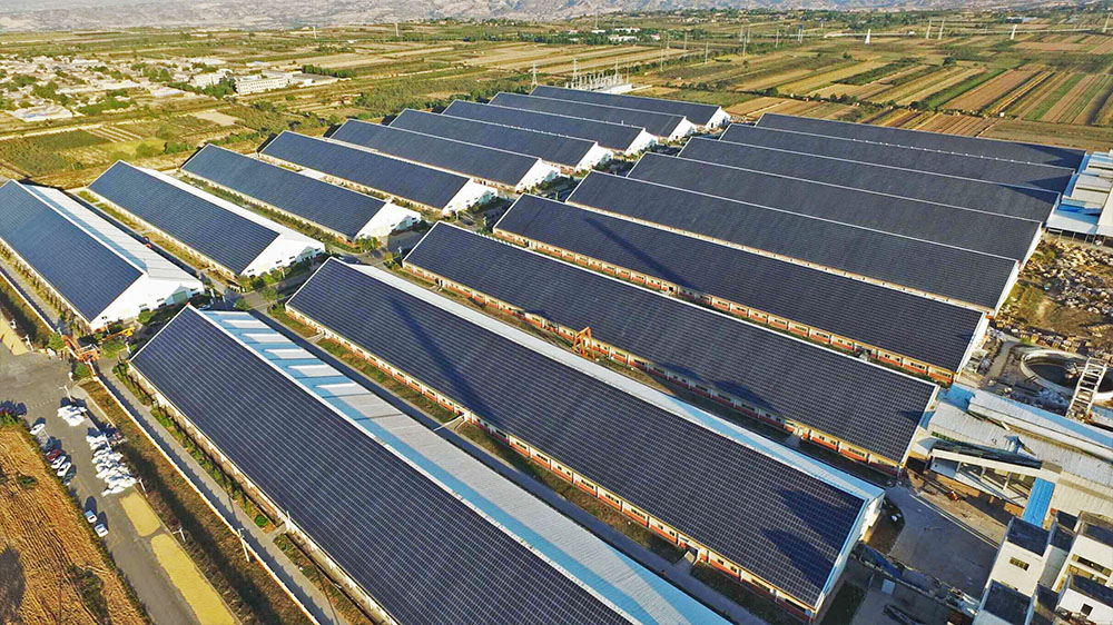 AG��˾(�й�����)�����޹�˾����