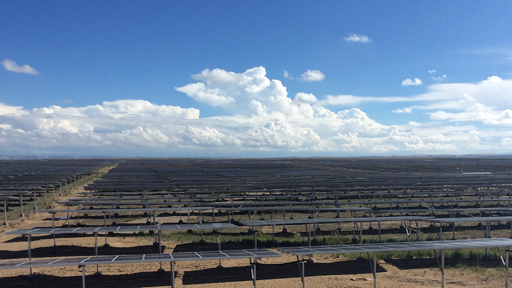 AG��˾(�й�����)�����޹�˾����